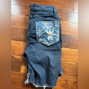 Ripton x Skida denim jorts
